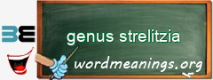 WordMeaning blackboard for genus strelitzia
